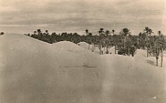 colomb bechar  (36)